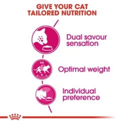 Royal Canin Savour Exigent Dry Adult Cat Food - 10kg By Royal Canin -Cat's Store Royal Canin Savour Exigent Dry Cat Food 10kg 7