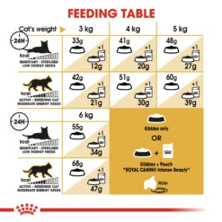 Royal Canin Siamese Dry Adult Cat Food - 2kg By Royal Canin -Cat's Store Royal Canin Siamese Dry Cat Food 2kg 3