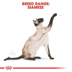 Royal Canin Siamese Dry Adult Cat Food - 2kg By Royal Canin -Cat's Store Royal Canin Siamese Dry Cat Food 2kg 7