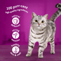 WHISKAS 1+ Mixed Menu Adult Wet Cat Food Pouches In Jelly - 40 X 85g By Whiskas -Cat's Store WHISKAS 1 Cat Pouches Fish Meaty Selection in Jelly 40x85g 5