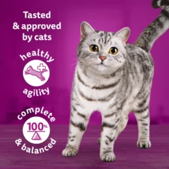 WHISKAS 1+ Chef's Choice Mix Adult Wet Cat Food Pouches In Gravy - 40 X 85g By Whiskas 14 WHISKAS 1+ Chef's Choice Mix Adult Wet Cat Food Pouches In Gravy - 40 X 85g By Whiskas -Cat's Store WHISKAS 1 Cat Pouches Tasty Mix Chef Choice in Gravy 40x85g 5