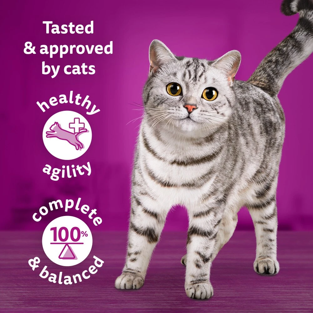 WHISKAS 1+ Chef's Choice Mix Adult Wet Cat Food Pouches In Gravy - 40 X 85g By Whiskas 5 WHISKAS 1+ Chef's Choice Mix Adult Wet Cat Food Pouches In Gravy - 40 X 85g By Whiskas - Image 5