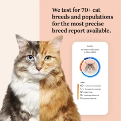 Wisdom Panel Complete DNA Test For Cats By Wisdom Panel -Cat's Store Wisdom Panel Complete DNA Test for Cats 4