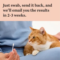 Wisdom Panel Complete DNA Test For Cats By Wisdom Panel -Cat's Store Wisdom Panel Complete DNA Test for Cats 5