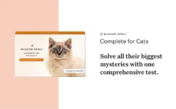 Wisdom Panel Complete DNA Test For Cats By Wisdom Panel -Cat's Store Wisdom Panel Complete DNA Test for Cats 7