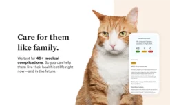 Wisdom Panel Complete DNA Test For Cats By Wisdom Panel -Cat's Store Wisdom Panel Complete DNA Test for Cats 8