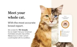 Wisdom Panel Complete DNA Test For Cats By Wisdom Panel -Cat's Store Wisdom Panel Complete DNA Test for Cats 9