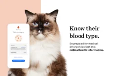 Wisdom Panel Complete DNA Test For Cats By Wisdom Panel -Cat's Store Wisdom Panel Complete DNA Test for Cats 97