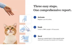 Wisdom Panel Complete DNA Test For Cats By Wisdom Panel -Cat's Store Wisdom Panel Complete DNA Test for Cats 98